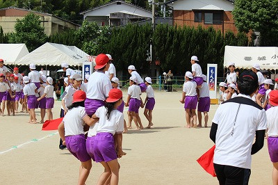 IMG_8342