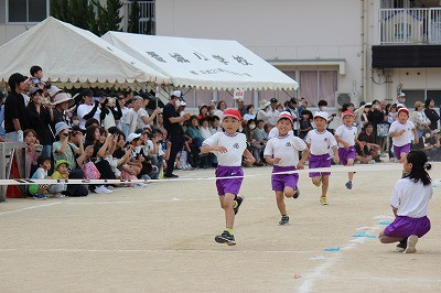 IMG_8605