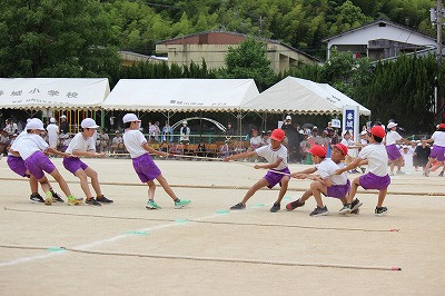 IMG_8955