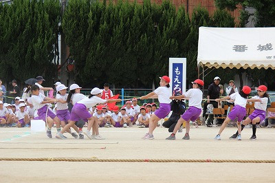 IMG_8960