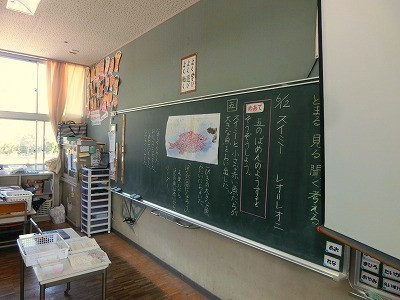 CIMG5146