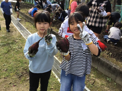 2年2組 せいかつ_津野 裕美_11_14いもほり_14