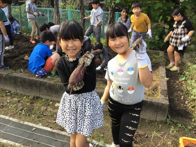 2年2組 せいかつ_津野 裕美_11_14いもほり_19