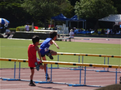 s-DSC02837