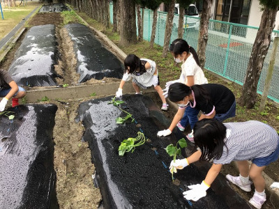 2年2組_せいかつ_津野　裕美_2025年5月29日のノート_1